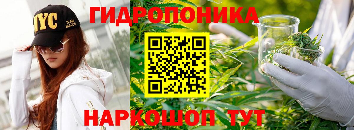 Бошки Шишки конопля  Вход с VPN  Бошки марихуана THC 21%  Бошки марихуана семена  Мыски 